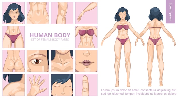 Composición de partes del cuerpo femenino de dibujos animados