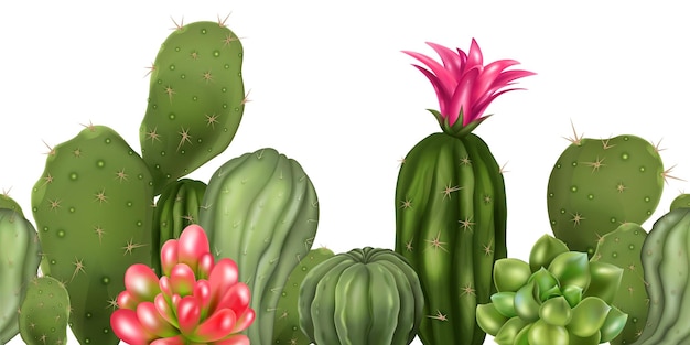 Composición perfecta de cactus realista de patrón horizontal con tapas de plantas decorativas florecientes aisladas en la ilustración de vector de fondo en blanco