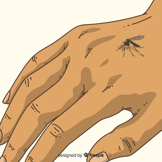 Composición de picadura de mosquito en la mano dibujada a mano