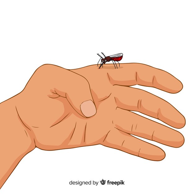 Composición de picadura de mosquito en la mano dibujada a mano