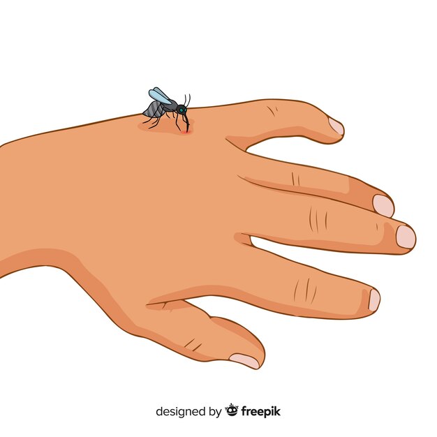 Composición de picadura de mosquito en la mano dibujada a mano