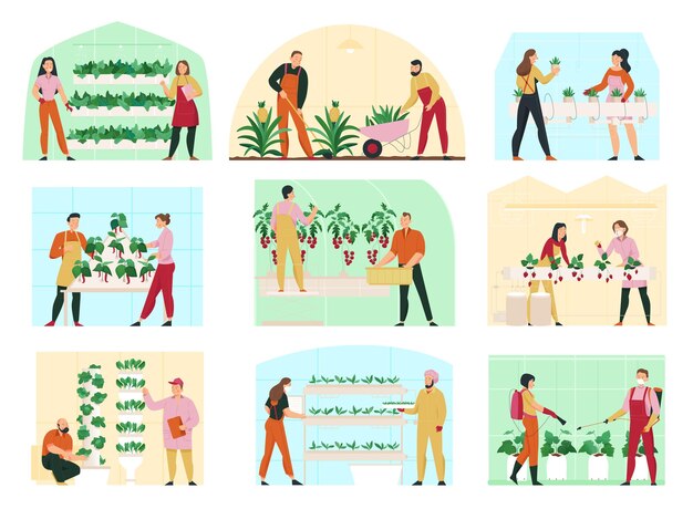 Composición plana de agricultura con hombres y mujeres que cuidan plantas de invernadero ilustración vectorial aislada