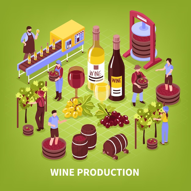 Composición de producción de vino prensado de viñedo de uvas transportador de embotellado y envejecimiento en barricas isométrica