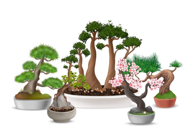 Composición realista del árbol bonsai japonés con sakura en flor en la ilustración de vector de maceta