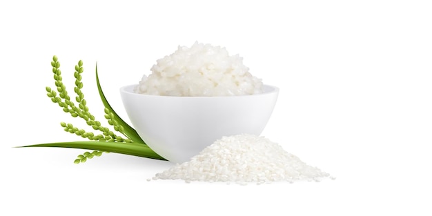 Composición realista de arroz con montículo de arroz blanco crudo cerca de gachas cocidas en un tazón decorado con ilustraciones de vectores de brotes verdes