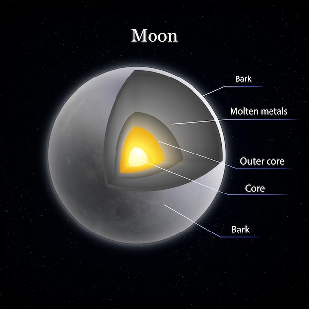 Vector gratuito composición realista de capas de luna con imagen de vista de perfil aislada de luna gris con leyendas de texto adjuntas ilustración vectorial