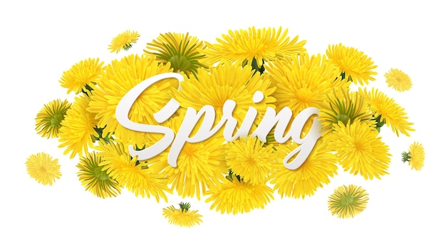 Composición realista de diente de león con texto adornado editable y montón de flores de primavera amarillas