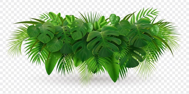 Composición realista de rama de palma de hojas tropicales con imagen de pila de hojas verdes aislada