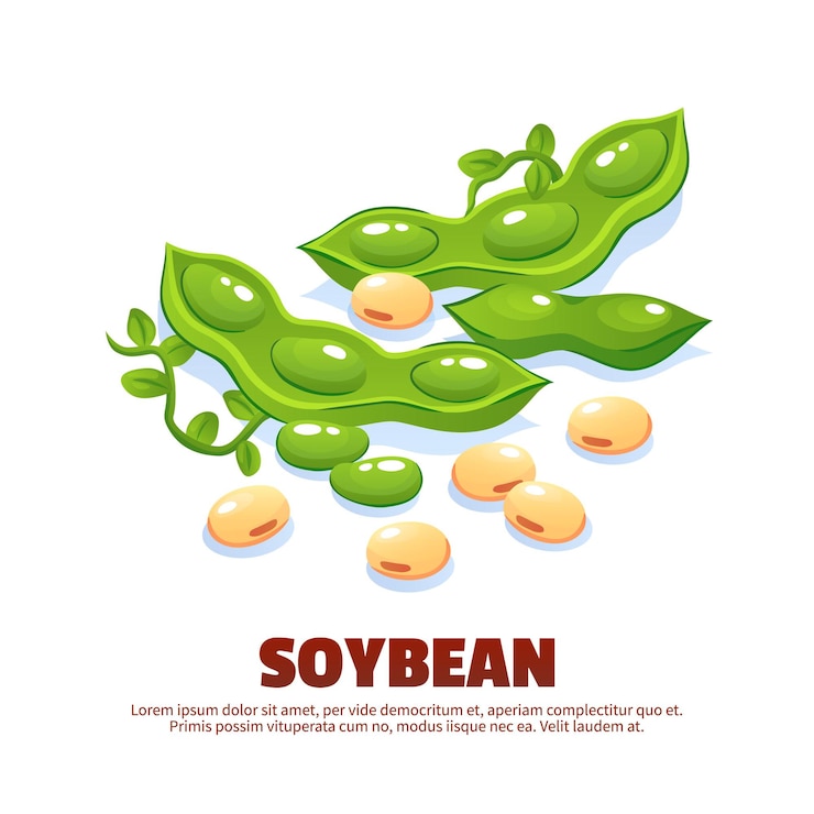 Vector gratuito composición de soja para empaque de etiquetas de plantilla y emblema del mercado de agricultores con vainas de soja verde y dibujos animados de frijoles maduros
