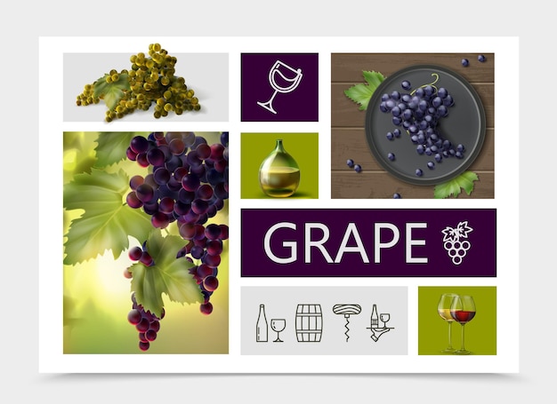 Vector gratuito composición de uvas realista con botella de uvas blancas rojas púrpuras y vasos de vino e iconos lineales de vinificación