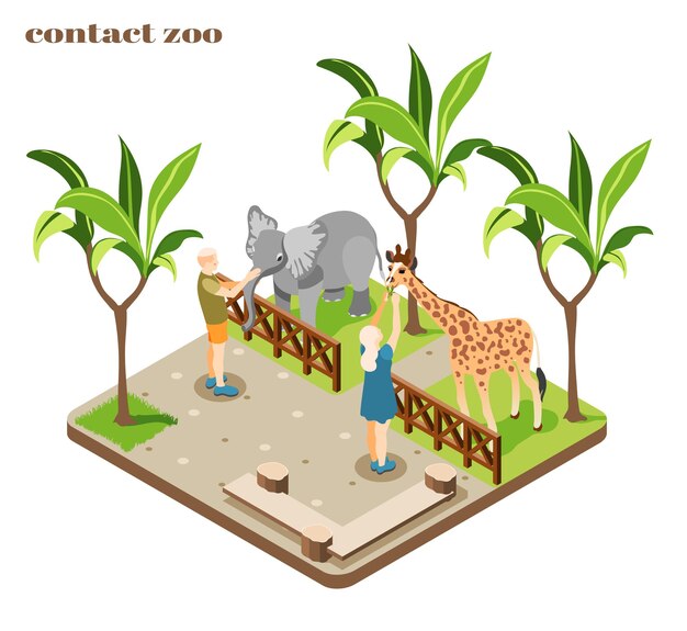 Composición de zoológico de contacto isométrico y coloreado con personal que alimenta a elefantes y jirafas