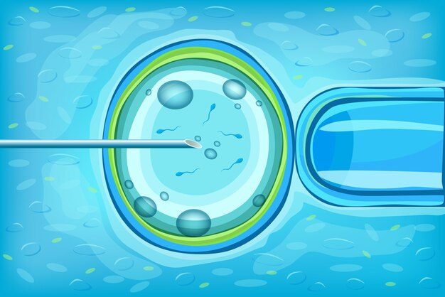 Concepto científico de fertilización in vitro