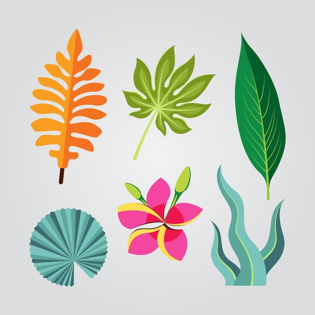 Concepto de colección de flores y hojas tropicales
