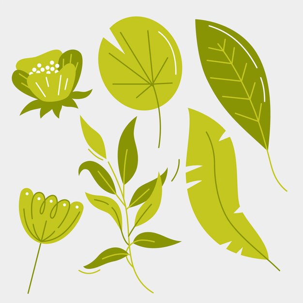 Concepto de colección de flores y hojas tropicales
