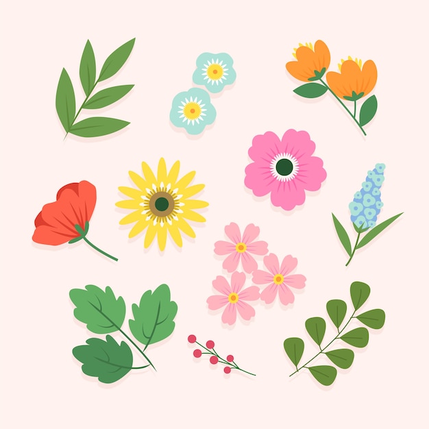 Concepto de colección de flores de primavera flor