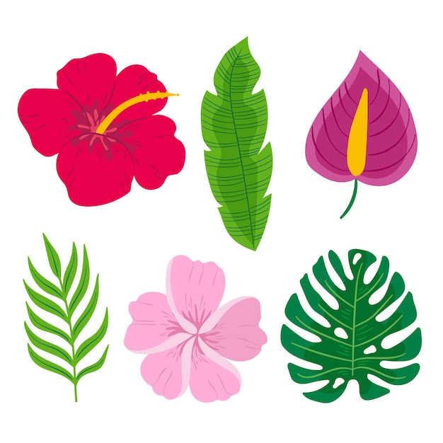 Vector gratuito concepto de colección de hojas y flores tropicales