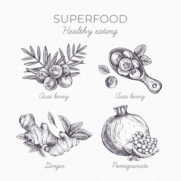 Concepto de colección de superalimentos