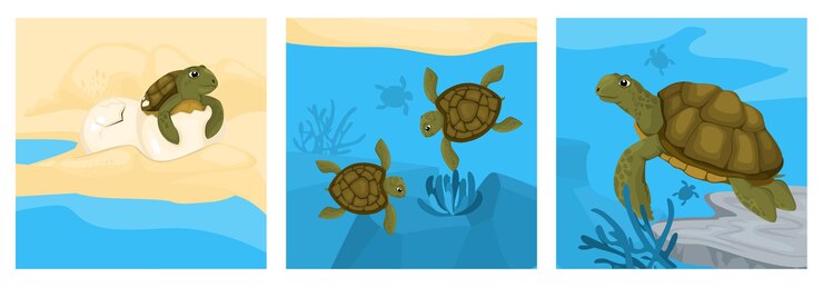 Vector gratuito concepto de diseño del ciclo de vida de la tortuga con un conjunto de composiciones cuadradas con tortugas y peces en la ilustración de vectores de acuario