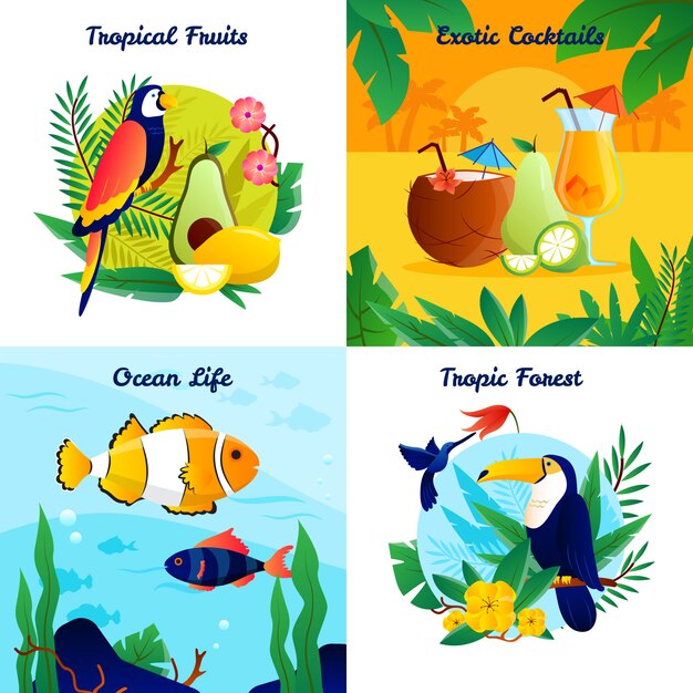 Concepto de diseño tropical con frutas exóticas cócteles océano vida vector ilustración