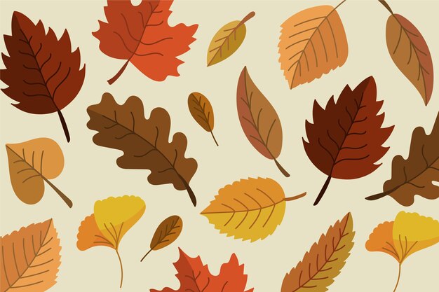 Concepto de fondo de pantalla de hojas de otoño