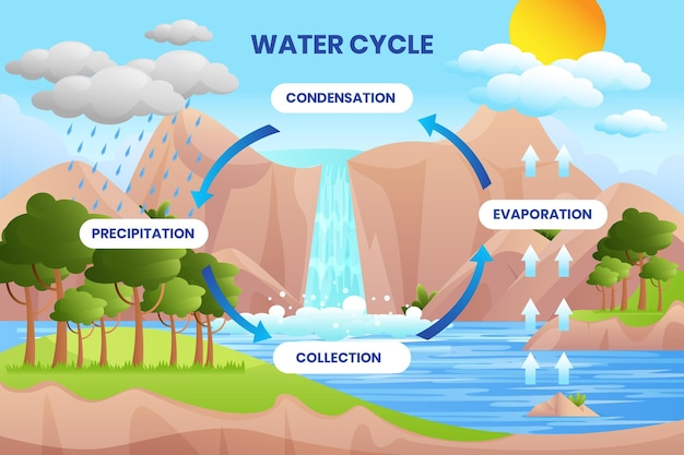 Concepto ilustrado del ciclo del agua