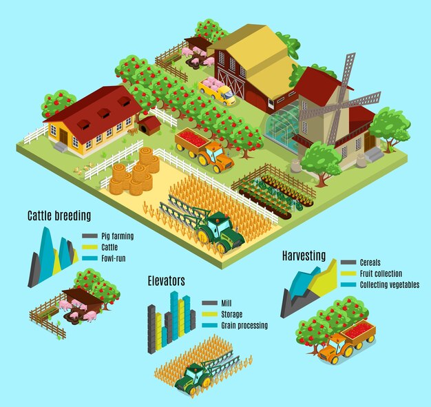 Concepto de infografía de granja isométrica