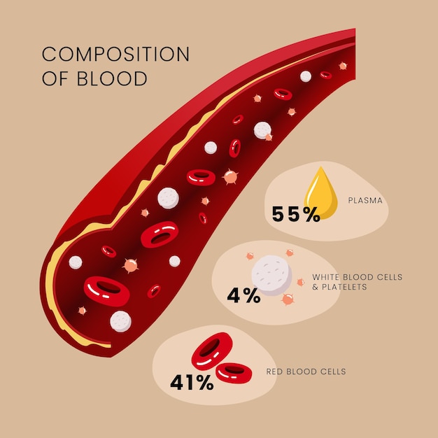 Concepto de infografía de sangre en diseño plano