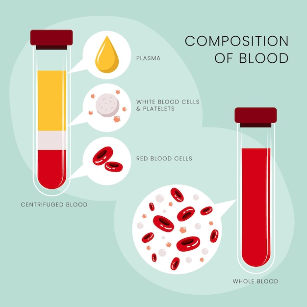 Vector gratuito concepto de infografía de sangre en diseño plano