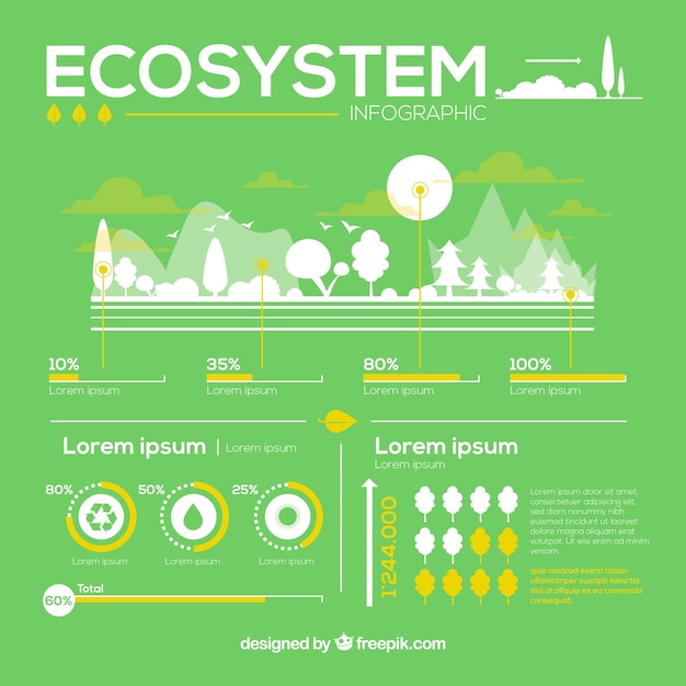 Concepto infográfico del ecosistema