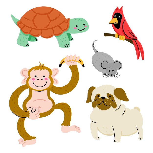 Concepto de mascotas diferentes