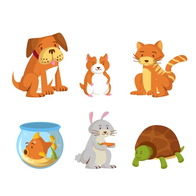 Concepto de mascotas diferentes