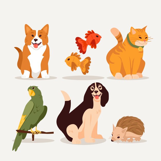 Concepto de mascotas diferentes