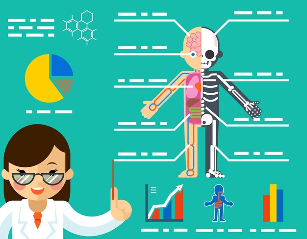 Concepto médico. Mujer médico que muestra la anatomía.
