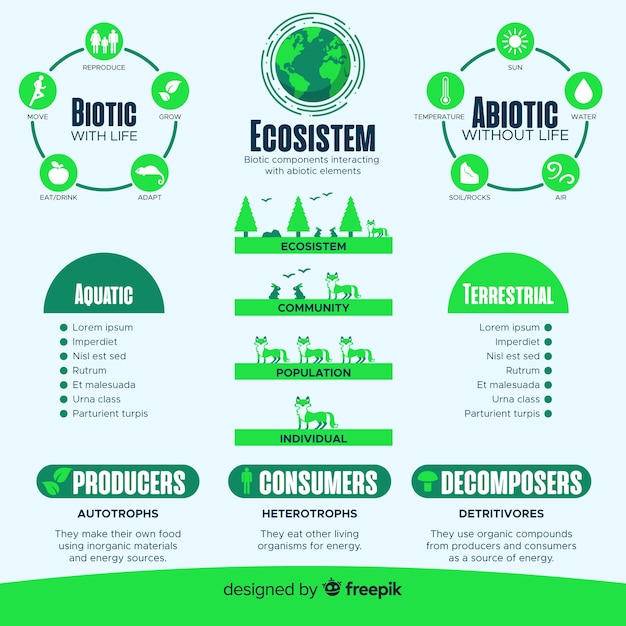 Vector gratuito concepto moderno de infográfica del ecosistema