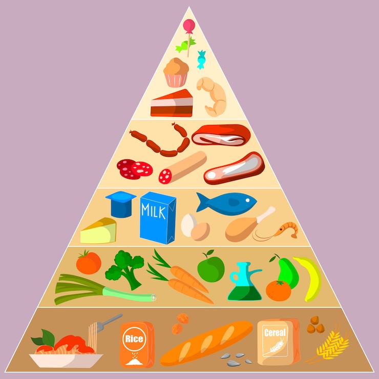 Vector gratuito concepto de nutrición de la pirámide alimenticia