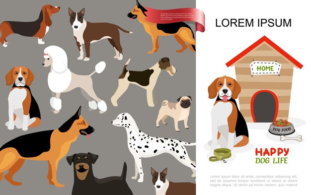 Concepto plano de vida de perro feliz con diferentes razas de perros y beagle sentado cerca del tazón de la perrera de correa de hueso de comida