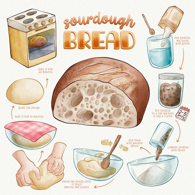 Vector gratuito concepto de receta de pan casero