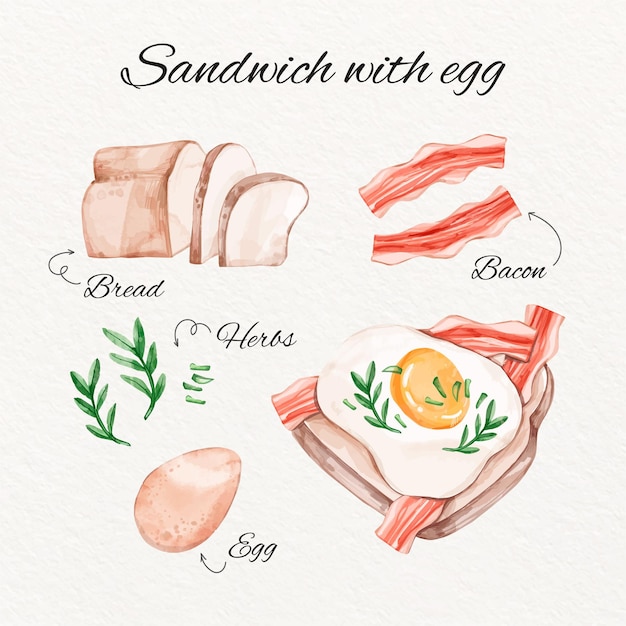 Concepto de receta de sandwich de acuarela