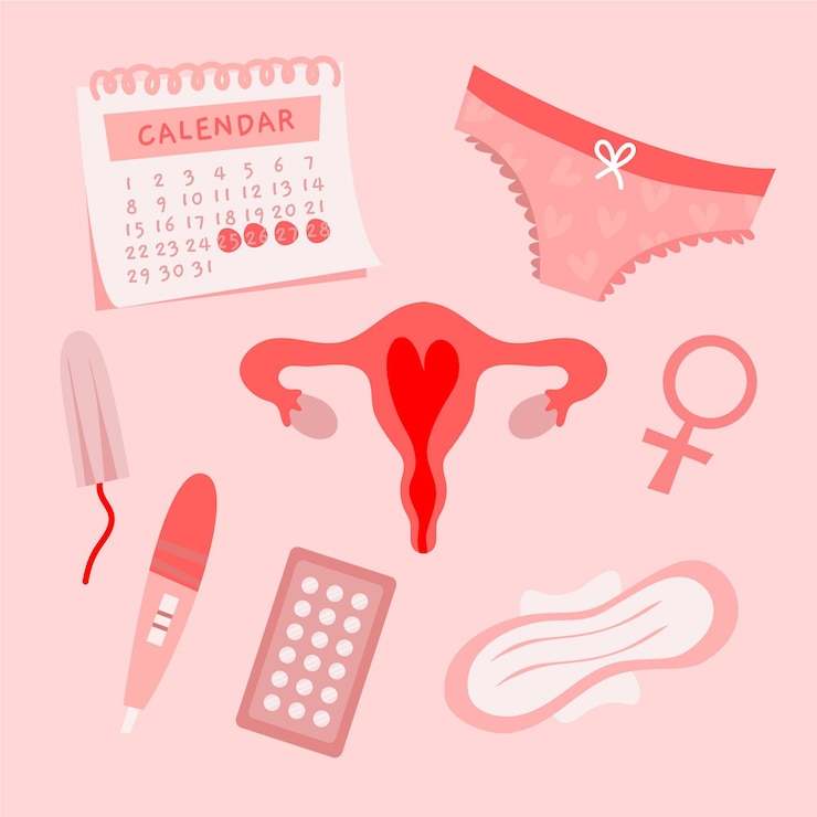 Vector gratuito concepto de sistema reproductor femenino