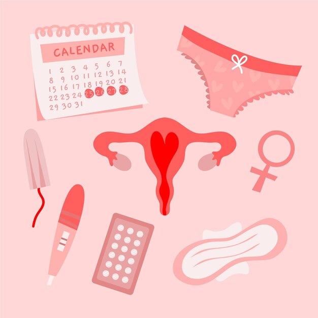 Concepto de sistema reproductor femenino