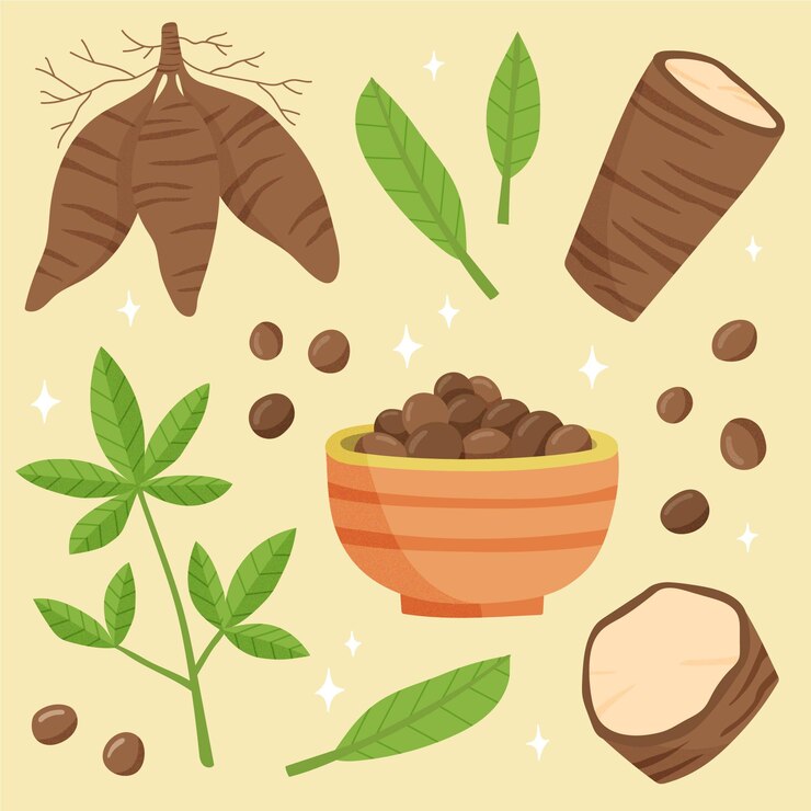 Vector gratuito concepto de tapioca dibujado a mano