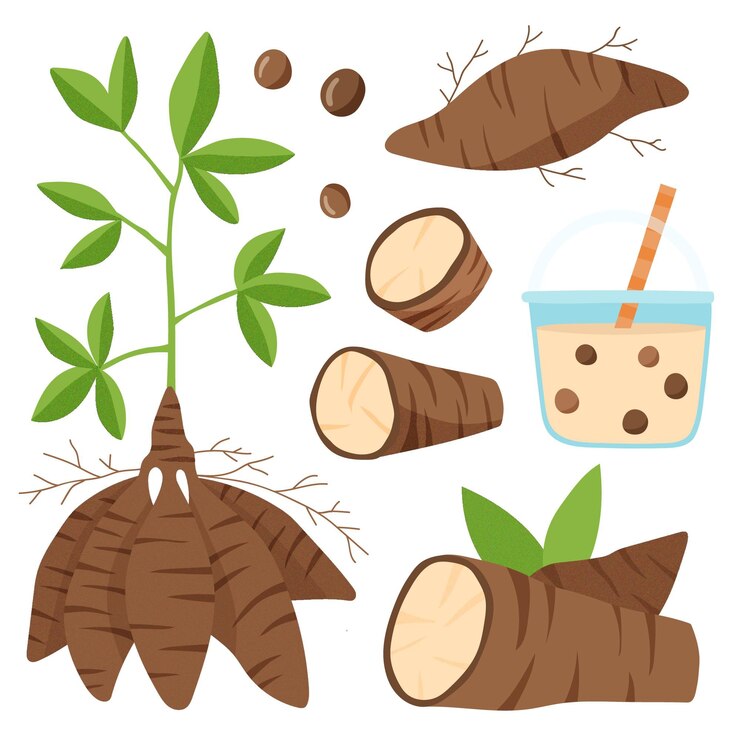 Vector gratuito concepto de tapioca dibujado a mano