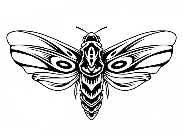 Concepto vintage hermosa mariposa