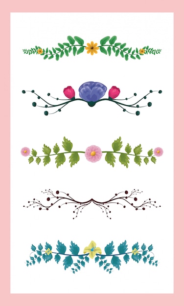 conjunto de 5 hojas de colores de follaje