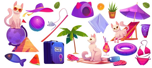 Conjunto de accesorios para gatos y playas