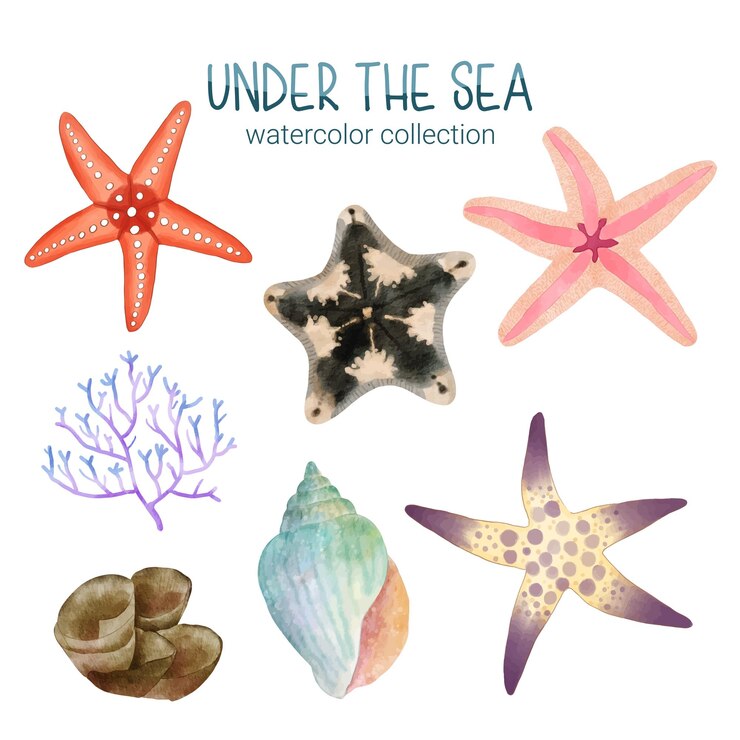 Conjunto de acuarela lindo animal y planta Vida marina bajo la ilustración de vector de mar