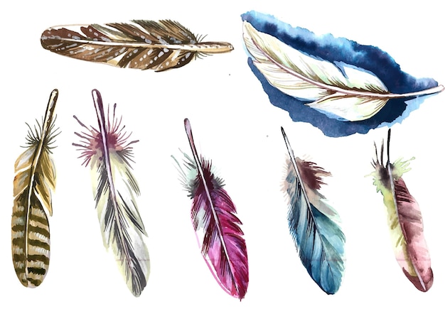 Conjunto de acuarela de plumas dibujadas a mano sobre fondo blanco