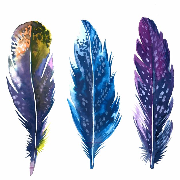 Conjunto de acuarela de plumas dibujadas a mano sobre fondo blanco
