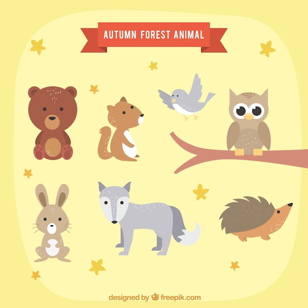 Vector gratuito conjunto adorable de animales otoñales