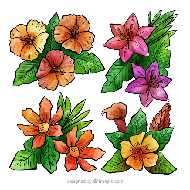 Conjunto adorable de flores tropicales en acuarela